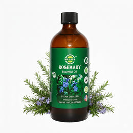 ROSEMERRY OIL 16FL oz